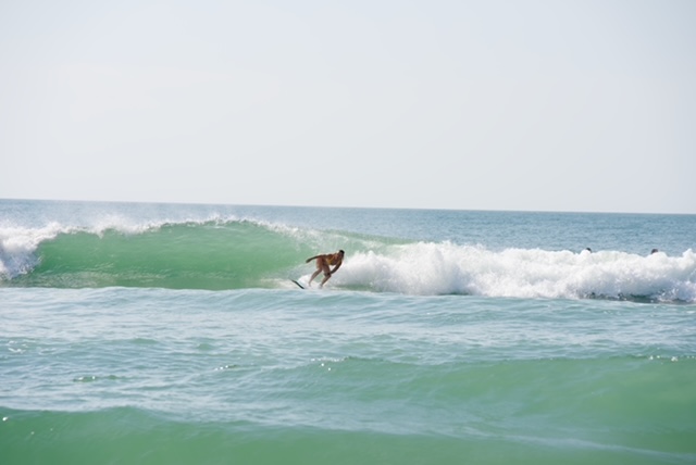 Surf photo 2